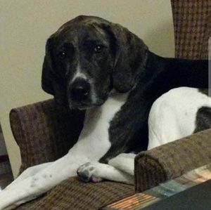 Meet your Posher, Kara